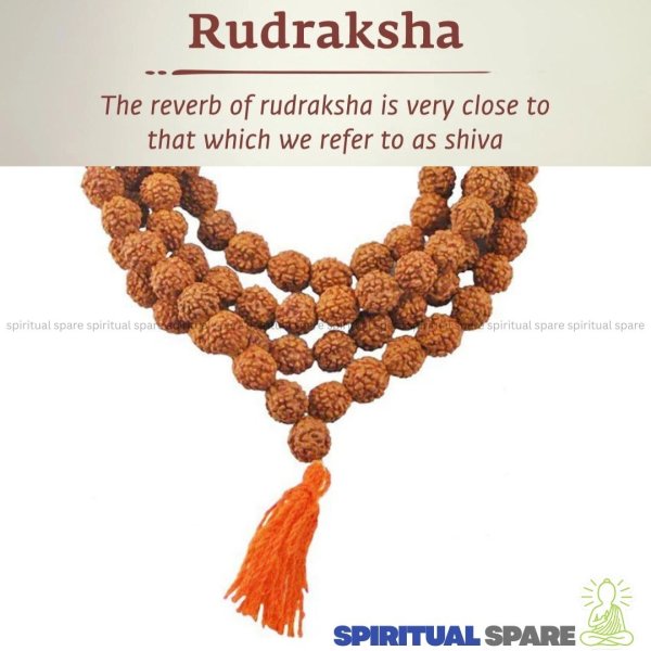Rudrakshi mala